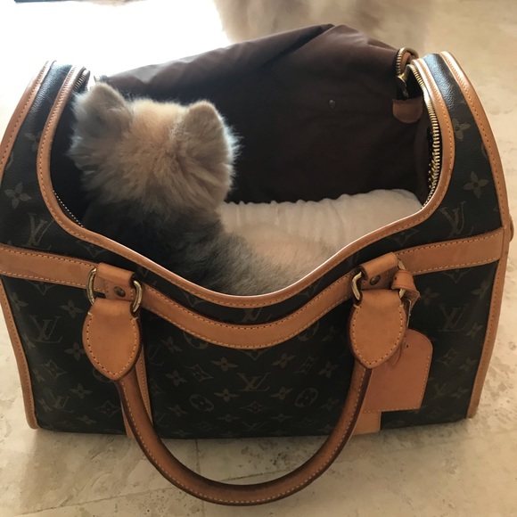 🐕🦺Louis Vuitton Pet Carrier 🐕🦺 - Picture 4 of 12